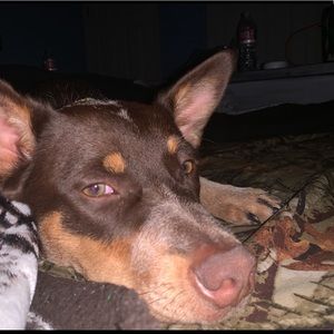 Meet your Posher, Zoe